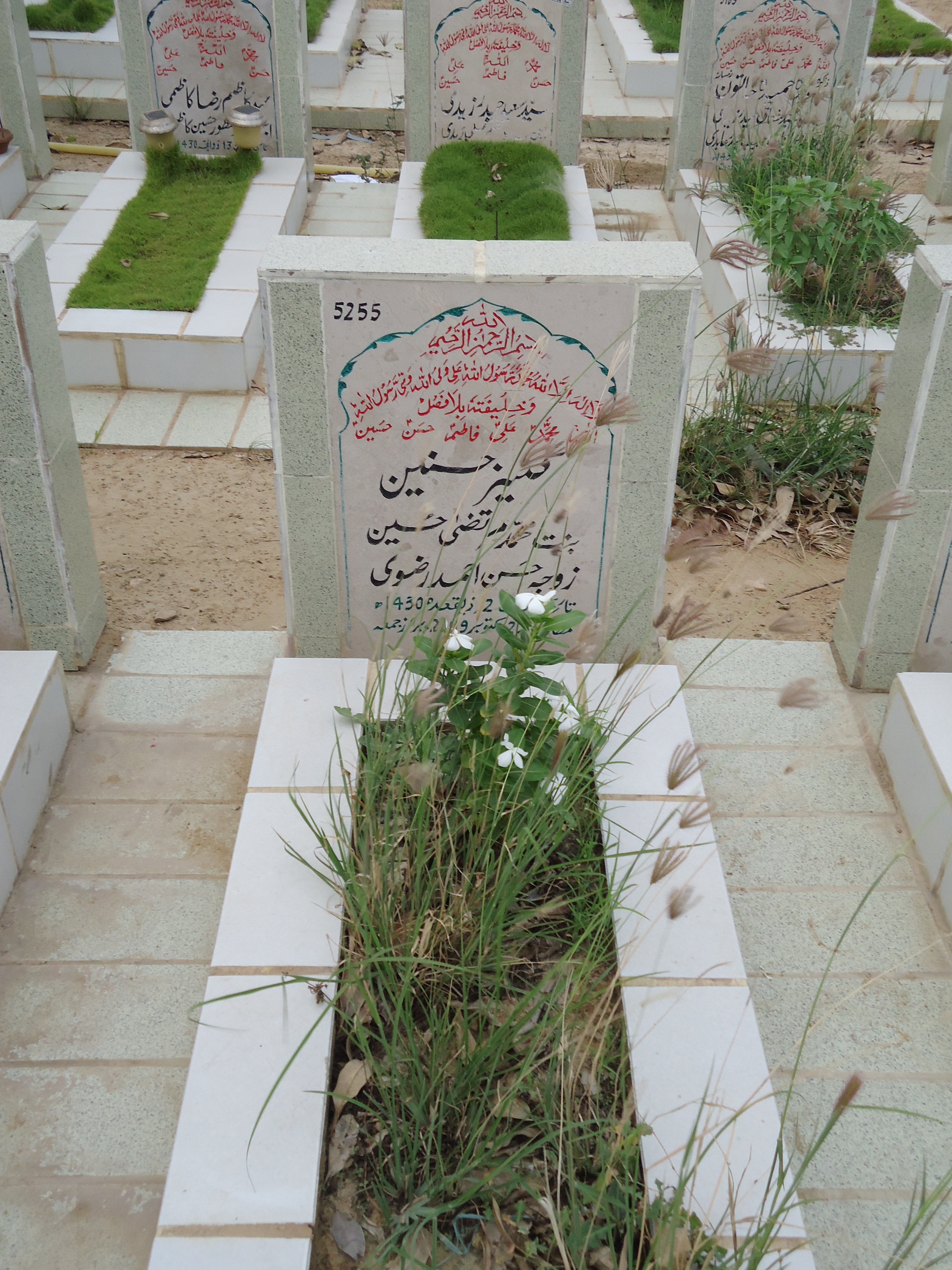 5255 – Kaneez Hasnain